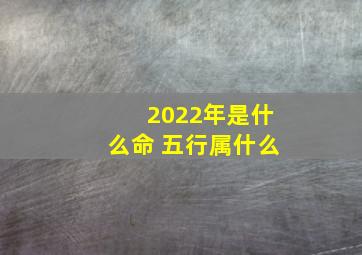 2022年是什么命 五行属什么